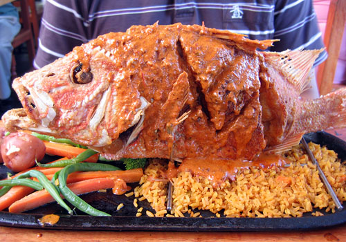 barcofish.bmp